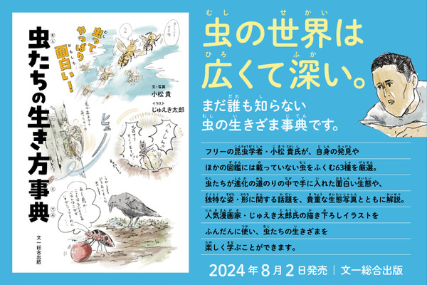 夏休みおススメ（中身チラ見せ）図鑑に載ってない63種の虫たちの生態や独特な姿・形『虫ってやっぱり面白い！ 虫たちの生き方事典』 画像
