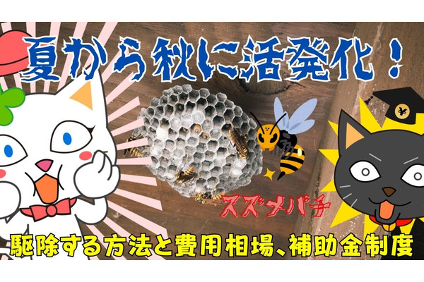 【怖いスズメバチ】夏から秋に活発化！駆除費用相場と補助金制度を紹介 画像