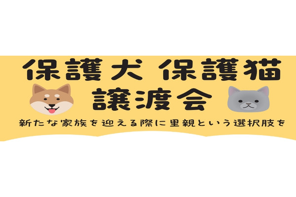 【保護犬・猫譲渡会を開催】中南信地域の綿半店舗にて実施 画像
