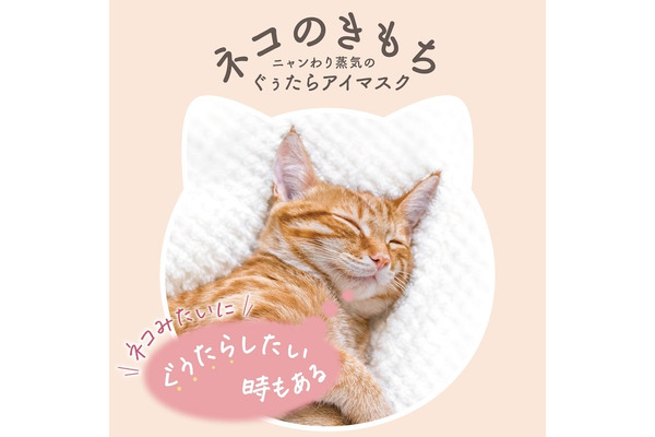 約3か月で50万枚売れた「ネコのきもち」春のギフト新登場と記念キャンペーン 画像