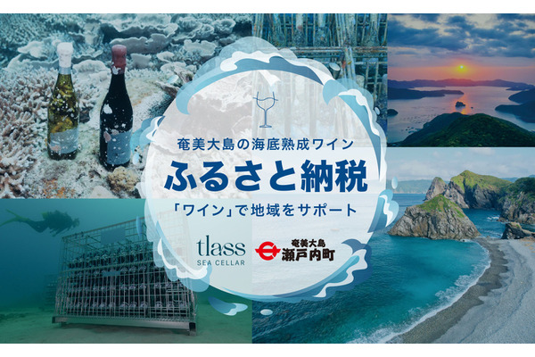 瀬戸内町の「海底熟成ワイン」がふるさと納税に 画像