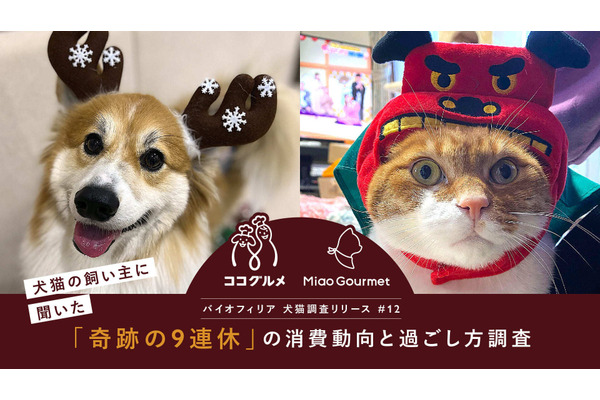 9連休の年末年始、愛犬愛猫とどう過ごす？ ペットフードは「プチ贅沢」傾向 画像