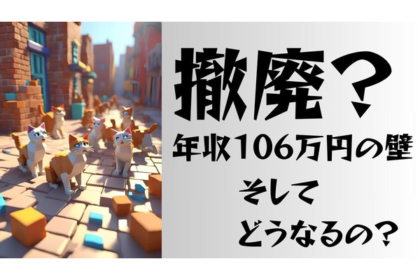 「年収106万円の壁」撤廃？基礎知識と撤廃後の影響について 画像