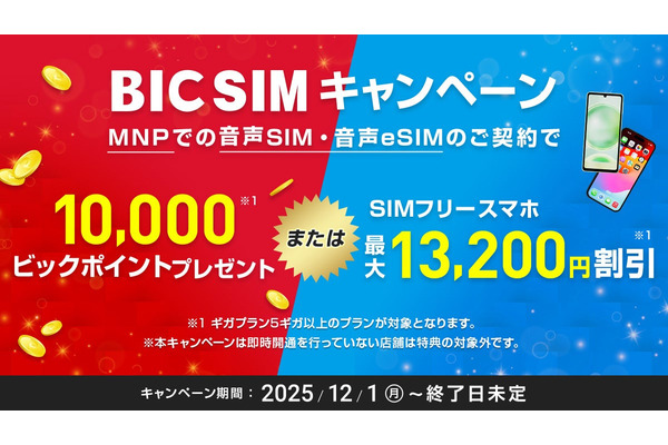 ビックカメラBIC SIM、新型iPhoneも対象の端末割引・月額料金割引・データ容量増量 画像