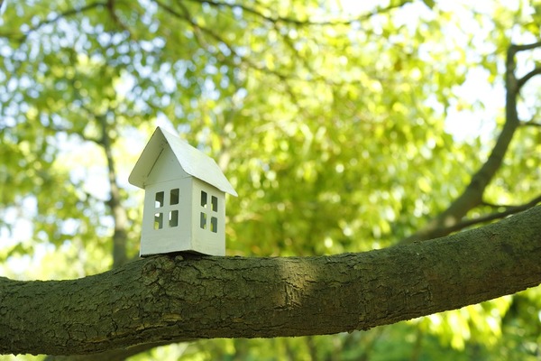 地方への移住を検討している方へ。私の経験から知っておいたほうが良いことをお話します（実生活編その1） 画像