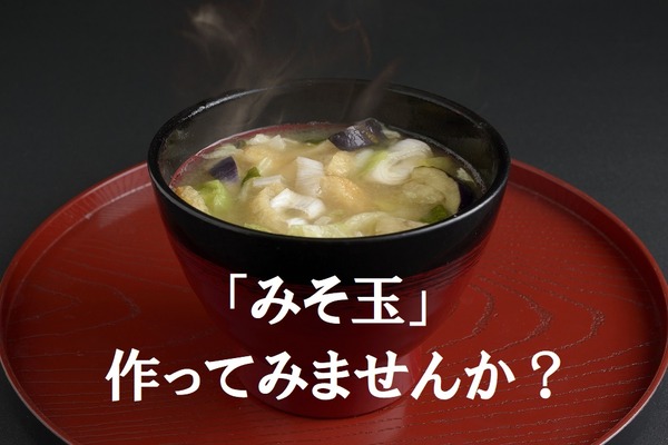 お弁当に、とっさの一品に使える、冷凍保存も可能な「みそ玉」を作ってみよう 画像