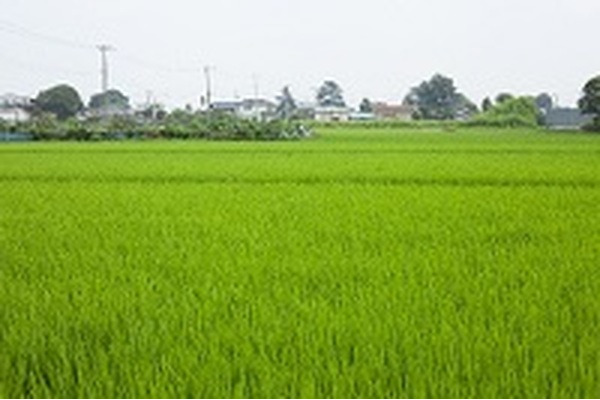 ふるさと納税の上限額が分からなくても損せず寄付をするには 画像