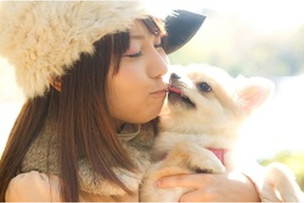 ペット保険の詳細と加入時に気を付けたいこと 画像
