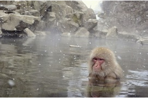 リクルートカード vs 楽天カード　どっちがお得か温泉旅行に行って試してみた　 画像