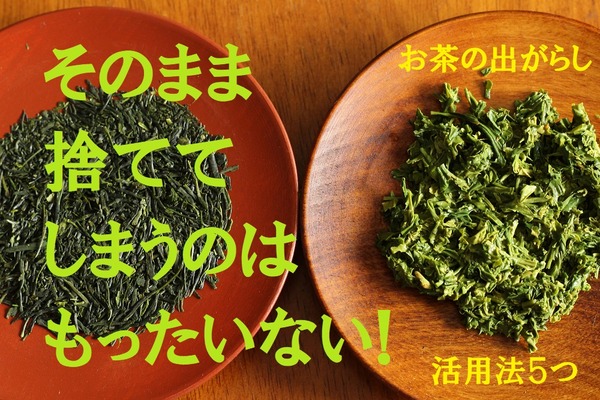 【お茶がら活用】そのまま捨ててしまうのはもったいない　お茶の出がらし有効活用5つ 画像