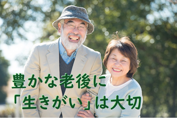 豊かな老後は「生きがい」「夢」で創られる　必要資金を見積もり、実現計画を立てよう 画像