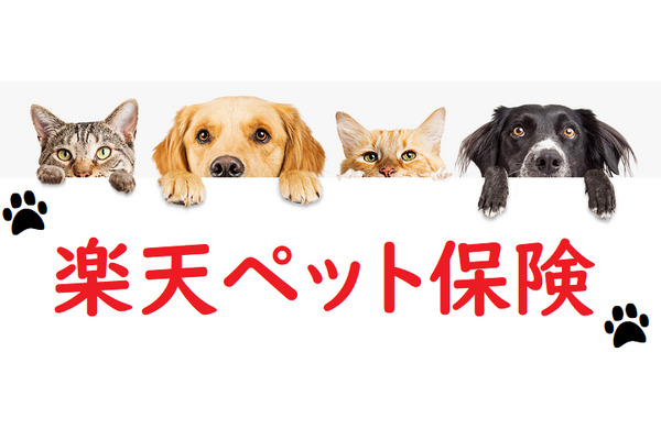 【楽天ペット保険】新プランは1回の治療にかかる負担額を軽減　猫(1歳)の場合、月々1,230円～ 画像