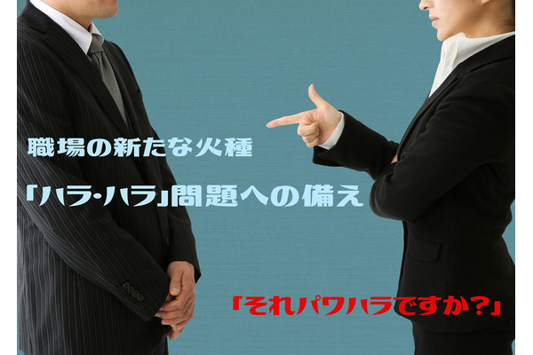 雇用者を悩ますオフィスでの「ハラ・ハラ問題」　保険を利用して、職場の意識改革するという発想 画像