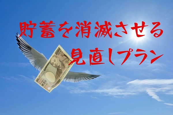貯蓄を消滅させる保険見直しプラン　3つの事例で警戒ポイントを知る 画像