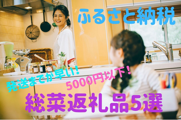 【ふるさと納税】発送までが早い「5000円以下」の総菜返礼品5選 画像