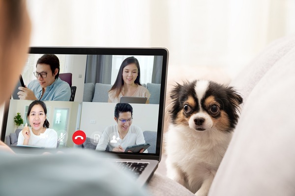 【法人向けコロナ支援】テレワークを導入した企業に助成金　対象と申請方法 画像