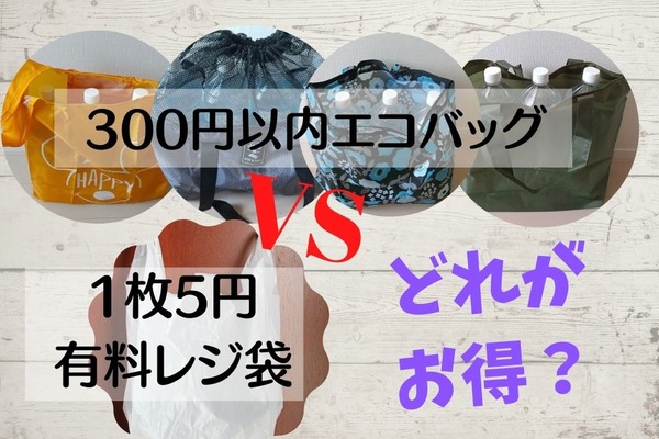 【レジ袋有料化】100均＆3coinsのエコバッグのお得度合いと耐久性をチェック　お墨付き4選の紹介 画像
