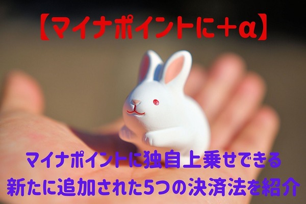 還元率25％最大5000円マイナポイントに「上乗せ付与」するキャッシュレス決済サービス　新たに参入の5社を紹介 画像