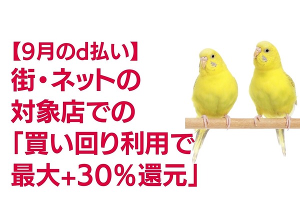 【9月のd払い】街・ネットの対象店での「買い回り利用で最大+30％還元」　注意点も解説 画像