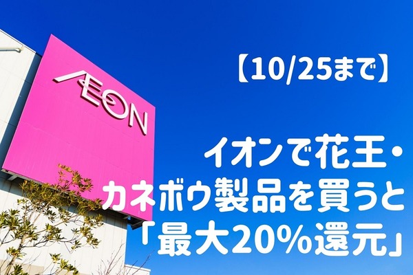 10/25まで　イオンで花王・カネボウ製品を買うともれなく「最大20%還元」　ポイント倍付、割引との併用可 画像