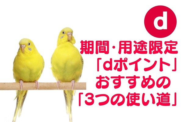 期間・用途限定の「dポイント」　おすすめの「3つの使い道」 画像