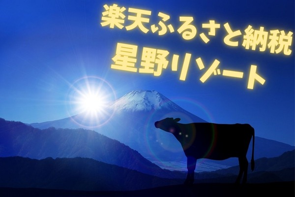 【楽天ふるさと納税】憧れ星野リゾート　寄付金額1～10万円のプラン7選 画像