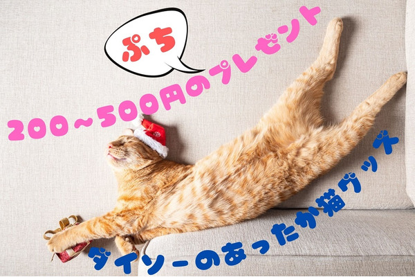 ネコ好きが選ぶダイソーのお勧め冬グッズ　200～500円のプチプレゼントも紹介 画像