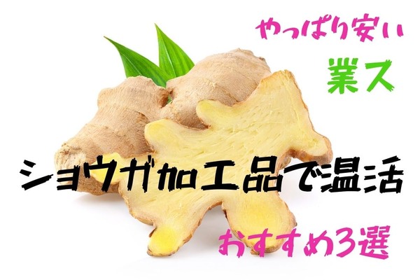 業スの高コスパ「生姜加工品」で温活　安くておいしい筆者厳選の3品を紹介 画像
