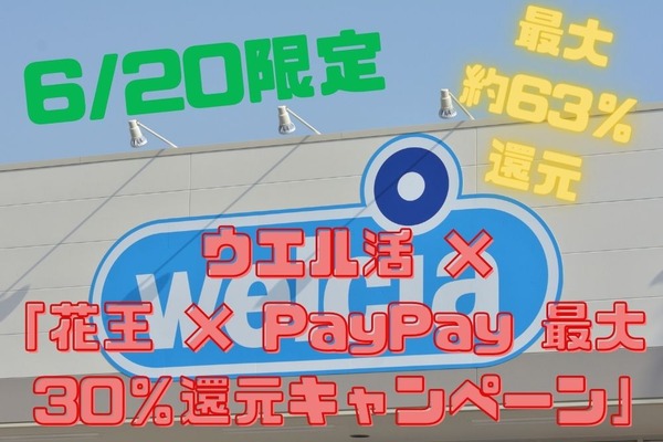 6/20限定【最大約63％還元】ウエル活 ×「花王 × PayPay 最大30％還元キャンペーン」 画像
