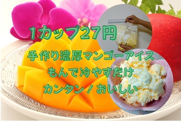 1カップ27円「手作り濃厚マンゴーアイス」フリーザーバッグで揉むだけ簡単 画像