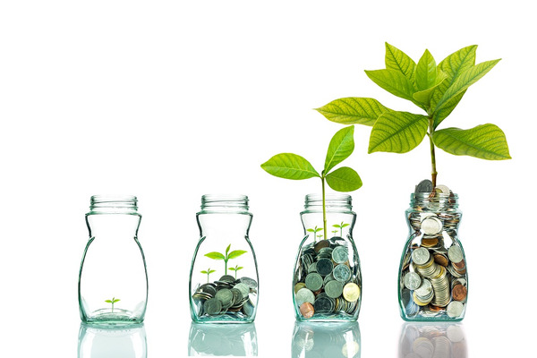 3つの原則さえ守ればお金は育つ　実はもう「待ったなし」なんです 画像