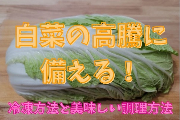 白菜の高騰に備えた冷凍方法とおいしい調理法を紹介　単価が上がりにくい野菜も 画像