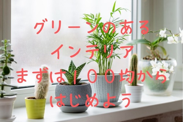 100均でそろうガーデニング用品　人気の寄せ植え用鉢カバー、本格加圧噴霧器も110円～ 画像