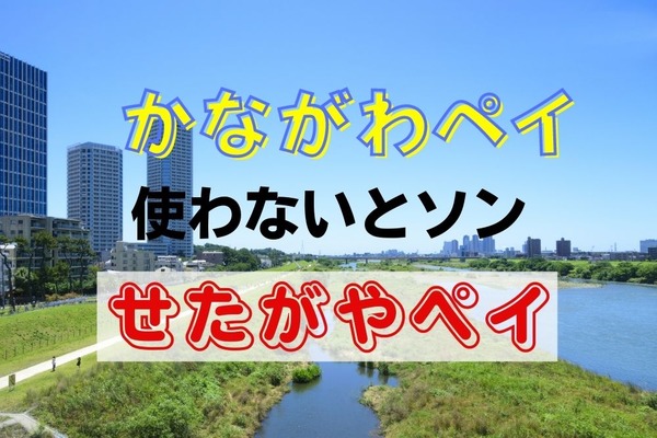 最大20％還元「かながわペイ」が期間延長！　期限せまる30％還元「せたがやペイ」も注目 画像