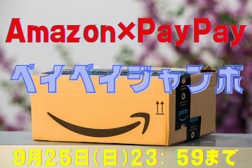 Amazon×PayPay