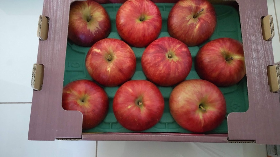 りんご　2.8kg