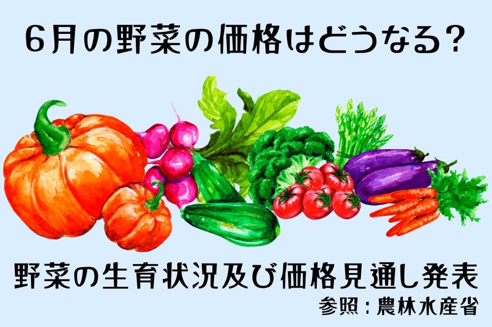 6月の野菜の価格