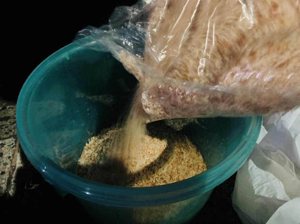アミエビというプランクトンの一種にパン粉を混ぜてかさましをしておく