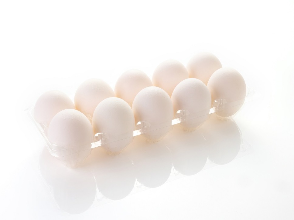 卵10個
