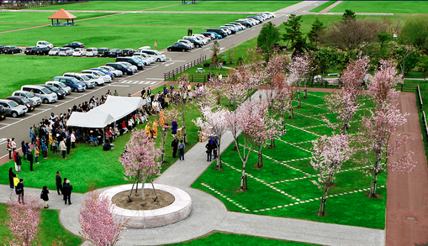 ばらと霊園の桜葬