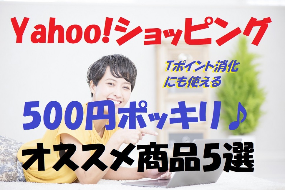 Yahoo!ショッピング500円ポッキリおすすめ商品5選