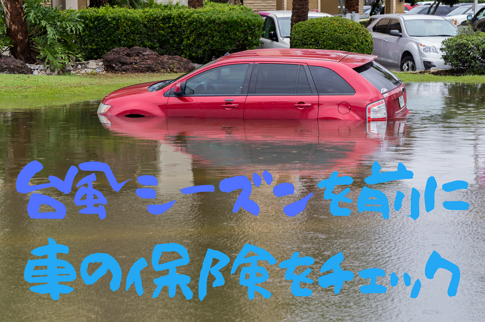 台風シーズンを前に 車の保険をチェック