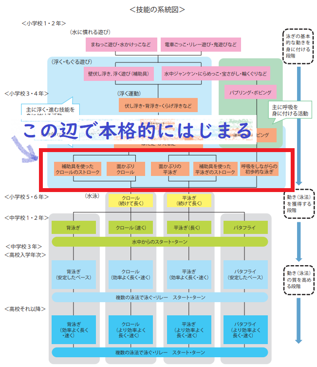 水泳技能指導の要点