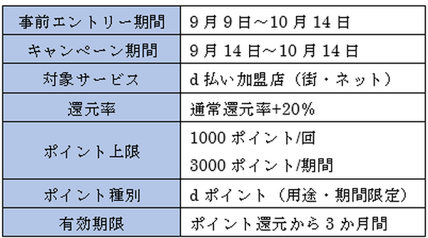 キャンペーンの概要