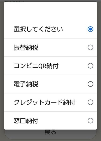 納付方法の選択肢の画面