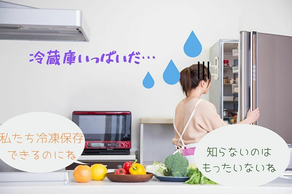 冷凍保存できる食材を知らないのは勿体無い