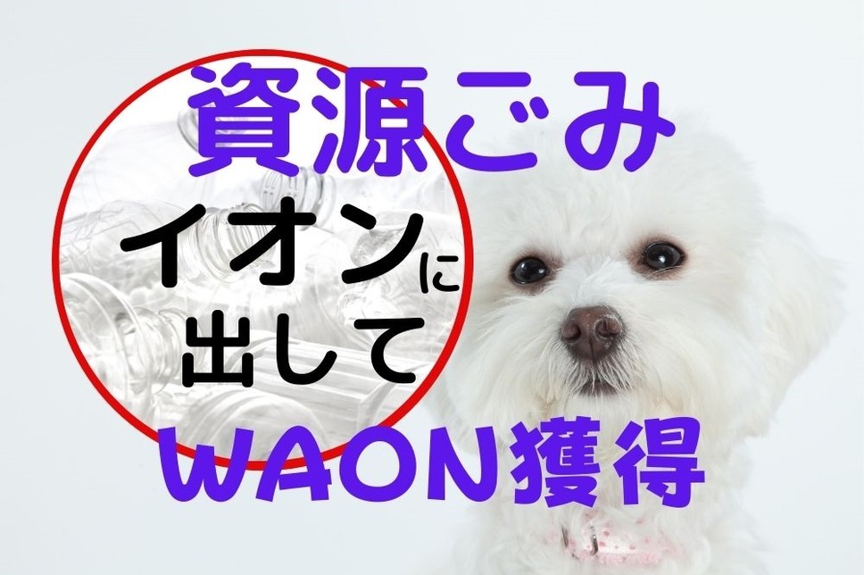 資源ごみイオンに出してWAON獲得