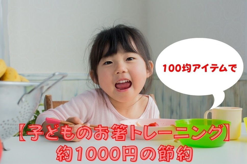 【子どものお箸トレーニング】 約1000円の節約