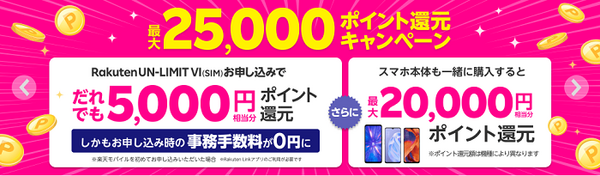 最大2万5000ポイント還元