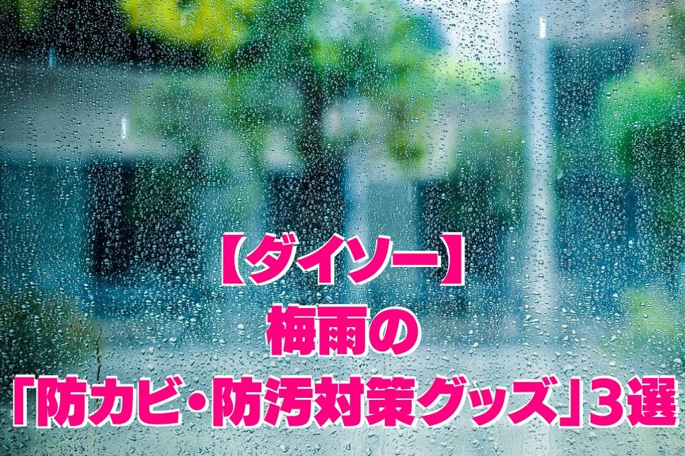 【ダイソー】 梅雨の「防カビ・防汚対策グッズ」3選